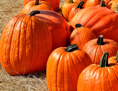 10 Tips for a Safe and Healthy Halloween